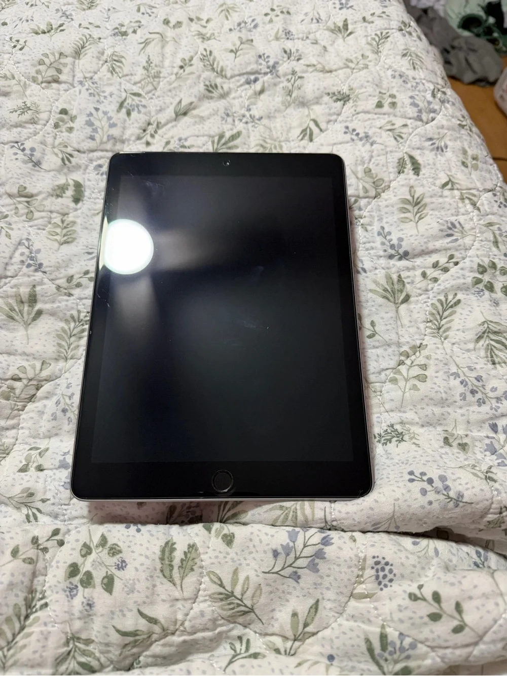 Apple iPad 6th gen